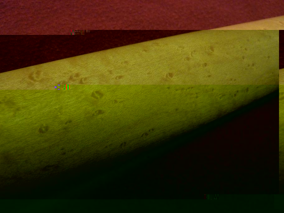 P1020206.JPG