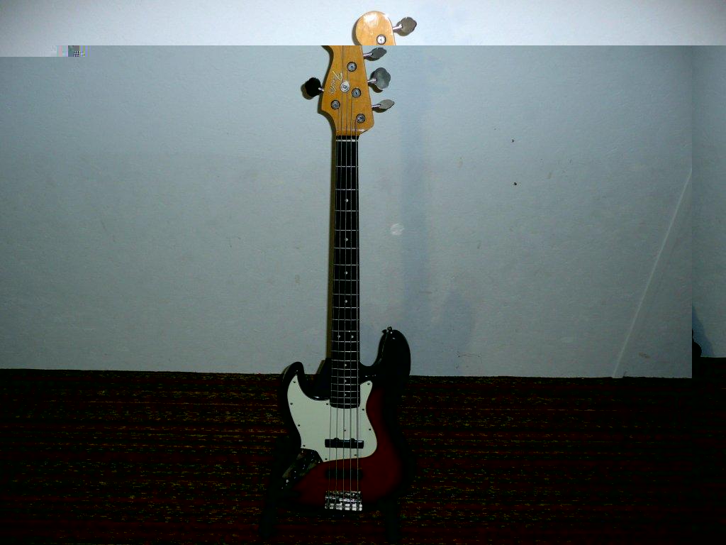 P1050046.jpg
