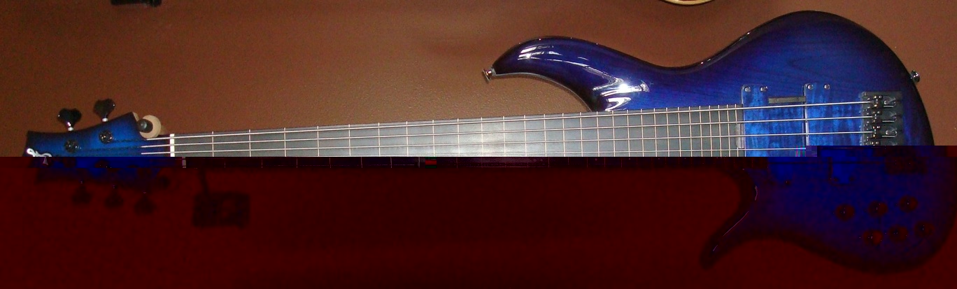 BNF5 LH blue sml.jpg